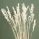 Sukhotzet "Sowing", White, 50 g in packaging