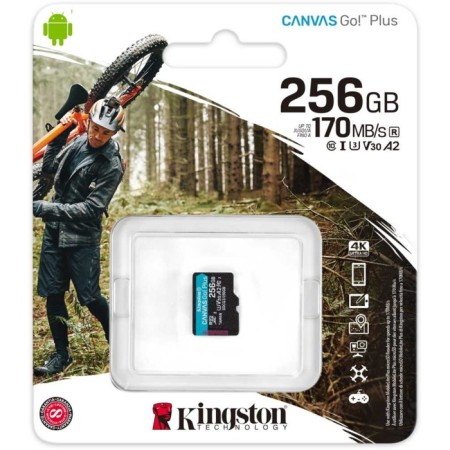 MicrosdxccC Memory 256GB KingSton SDCG3/256GBSP Canvas GO! Plus W/O-2