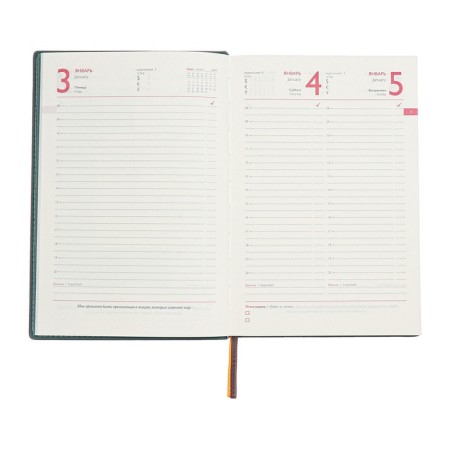 Dated 2025 diary, A5, 176 sheets of Escalada, solid cover of artificial leather, foil embossing, liesse, cream block 70 g/m2, green-11