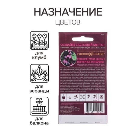 Seeds of Rodochiton "purple flashlights", 4 pcs.-2