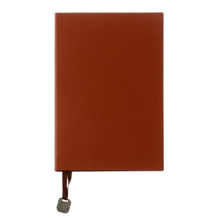 Diary Leduced A5,116 sheets in a cage, tinted cut, Light cover Mix-6