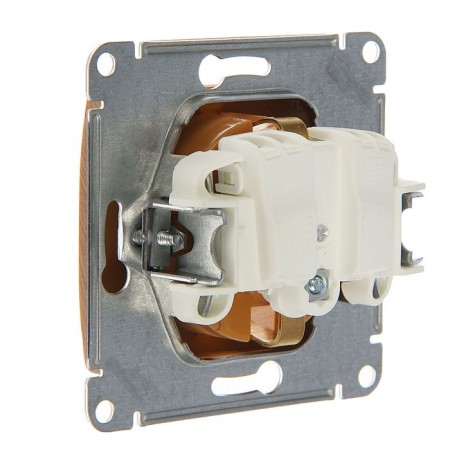 Glossa socket Sche GSL000543, 16 A, single, hidden, with salary, oak color-1