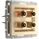 Acoustic socket WL11-AUDIOX4, Shampan