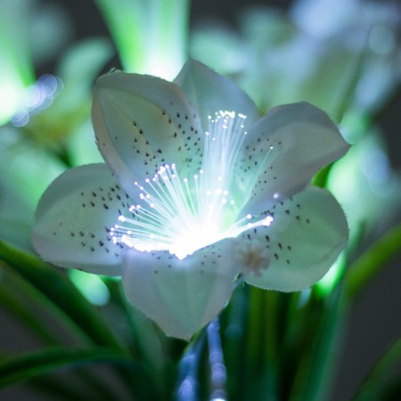 Night Crocus 9XLED 4000K white 15x15x40cm Risalux-3