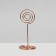 Circle -holder with a clip "Circle", 3.3 × 3.3 × 8.3 cm, color mix