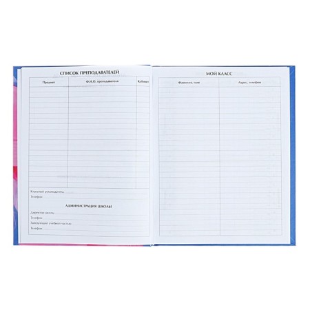 Diary for grades 5-11 "Shine!", Firm cover, glossy lamination, 48 sheets-4