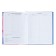 Diary for grades 5-11 "Shine!", Firm cover, glossy lamination, 48 sheets