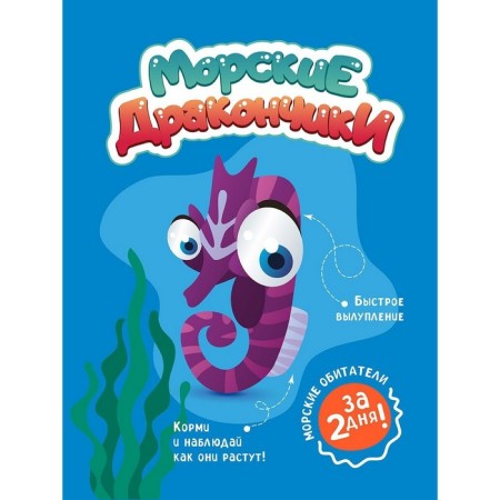 A set of chemical experiments and experiments "Sea Dragon"-2