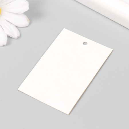 Tag without print Craft two -way 4x6 cm-2