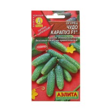 Seeds of the cucumber 