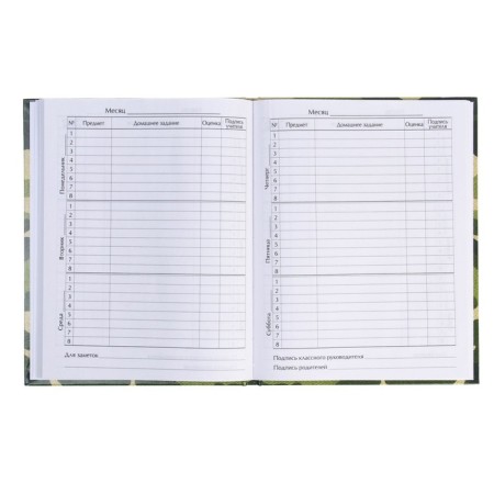 Universal diary for grades 1-11, "khaki", solid cover 7BC, glossy lamination, 40 sheets-4