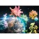 Puzzle "Planet Earth 2020", 1000 elements