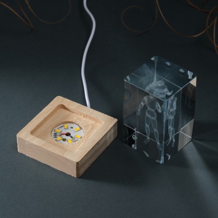 Souvenir Glass backlight "Rectangle. Sharpish person" Standing tree, USB 7x7x10-9
