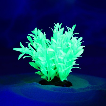 The plant is artificial aquarium, luminous, 10 cm, green-3