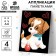 Application with sequins "Funny puppy" + 4 colors of sequins of 7 grams