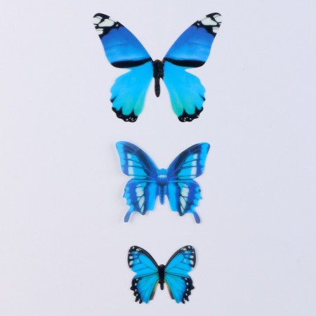 Set for decorating "Butterflies", 12 pcs, blue color-2