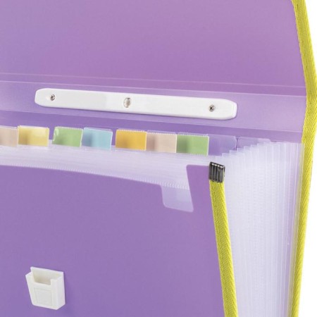A4 Portfire folder 13 POSTDD BRAUBERG JOY (330x245x35 mm), with edging, label index, purple-2