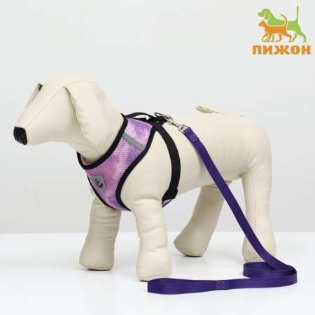 A set for dogs 3-5 kg, size S, leash 120 x 1.5 cm, Osh 24 cm, OG 34 cm
