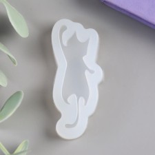 Mold Silicon 