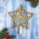 Tips "Star Cinter" 23.5x21 cm, golden red