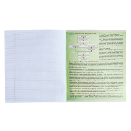 Subject subject calligrata "on black", 48 sheets in a cell biology, with reference material, cover coated cardboard, uf-lak, an offset unit-3