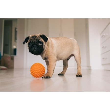 Toy "Massage ball" No. 2, 7.7 cm, yellow-3