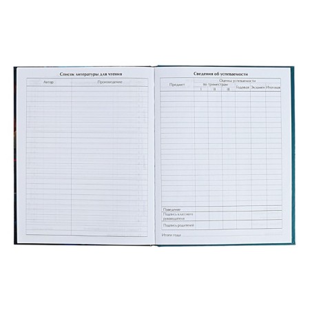 Diary for grades 5-11 anime. Girl, hard cover, glossy lamination, 48 sheets-7