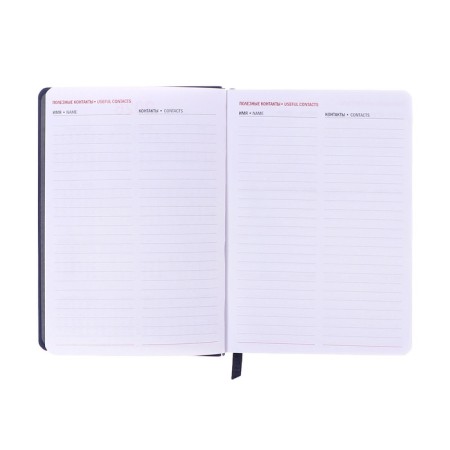 Dated diary of 2025, A6+, 176 sheets "Lyon", solid cover, pancake embossing, with liesa, block 80 g/m2, blue-7