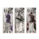 Geometric set "anime", (ruler, transporter, 2 squares) in the pencil case, mix