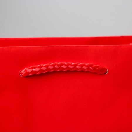 Gift laminated package, packaging, “red”, MS 18 x 23 x 8 cm-3