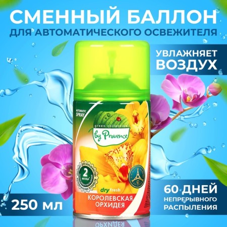 Green Collection by Provence Luhase: Royal Orchids Universal Smecked Ballon