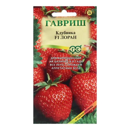Strawberries "Laurent", F1, 5 pcs.