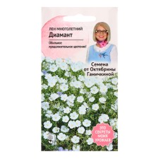 Flowers of Len 