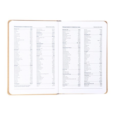 The diary is low, the PVC cover, A5 format, 140 l, cell, with a strap, beige-7