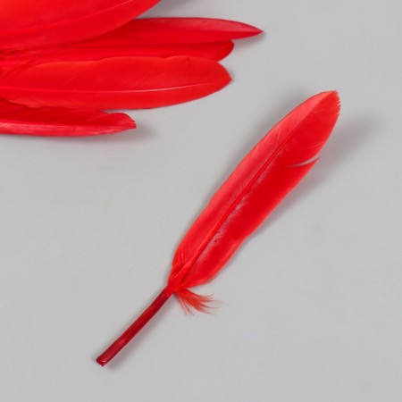 Decorative goose "red" set of 30 pcs h = 10-12 cm-2