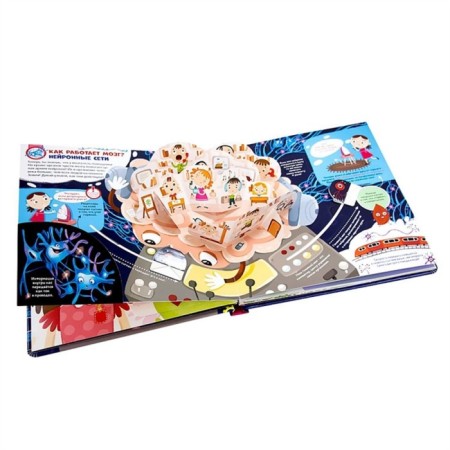 Interactive Enzeclopedia "Brain"-2