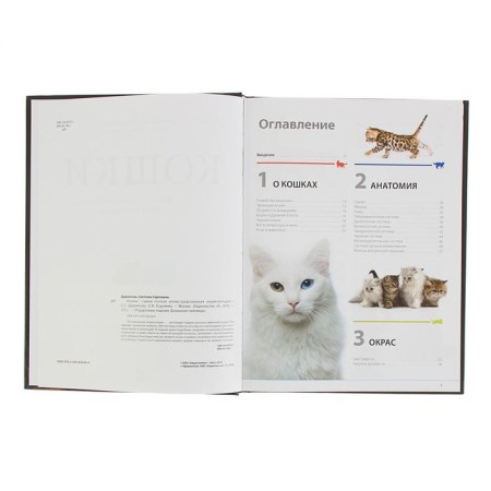 Cats. The most complete illustrated encyclopedia. Dudnikova S.S., Esualenko O.V.-4