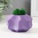 Concrete Kashpo "boundaries" with moss purple 8x8x5cm (moss green stabilized)