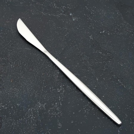 Knife magistro "blink", length 22 cm, on suspension, silver color-1