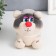 Growing gift Eco -Zhizhivchik "raccoon" mix