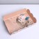 Cookie box, confectionery packaging with PVC lid, “live a dream”, 20 x 30 x 8 cm
