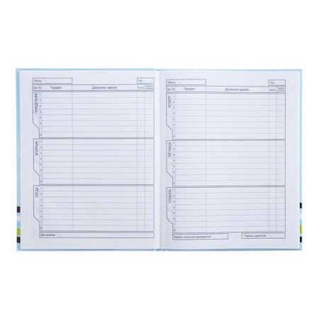 Universal diary for grades 1-11 "Everyone loves cats", solid cover, glossy lamination, 40 sheets-7
