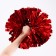 Pompom, red color