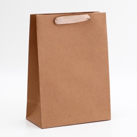 Craft packet without print, 20 x 10 x 28 cm 260 g/m2
