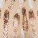 Bed linen Ethel 1.5 joint venture “feathers” (view 1) 143*215 cm, 150*214 cm, 70*70 cm 2 pcs