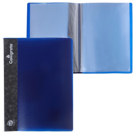 Folder with 10 A4, 500 μm inserts, calligrata, pocket on the spine, blueberry