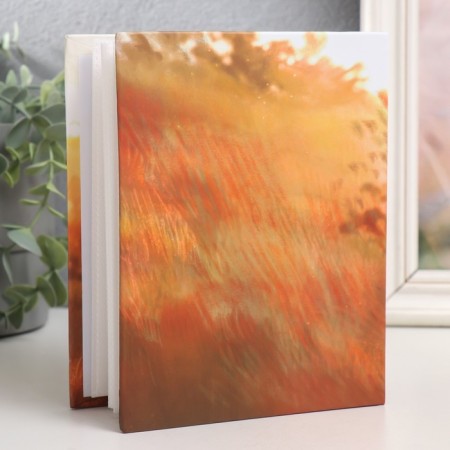 Photo album in 100 photos 10x15 cm, plastic. sheets "Cute Foxy" Dawn-1
