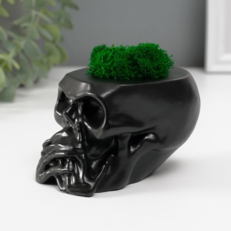Kashpo concrete "Skull Silence" with moss 6.5x10 cm black (moss green stabilized)-2