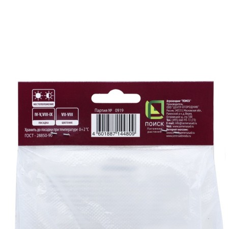 Hybrid Monard Beauty Ov Kobem, Rr. I, 1 pc, Spring 2025-2