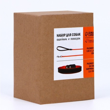 Set of a collar (58x2.5 cm) and a leash (130x1.4 cm) from eco -leather, black with orange-9